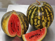 Арбузы соленые